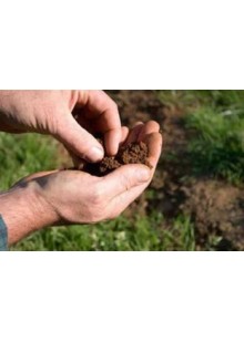 Soil Testing