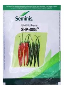  SHP 4884 Chilli