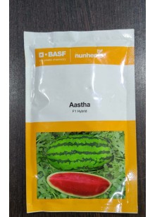 Aastha Watermelon
