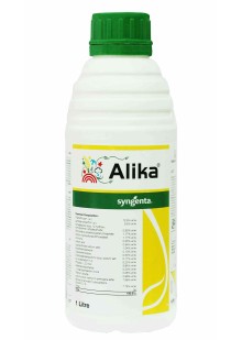 Alika (अलिका)