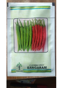 Bangaram Chilli