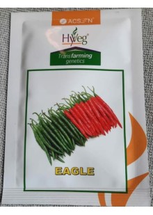EAGLE CHILLI