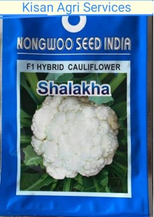  Shalakha