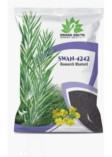 Swan-4242 