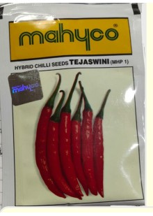 Tejaswini Chilli 
