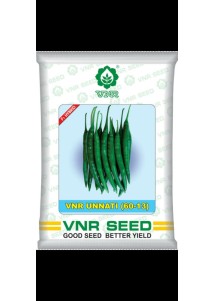 Unnati (60-13) Chilli  