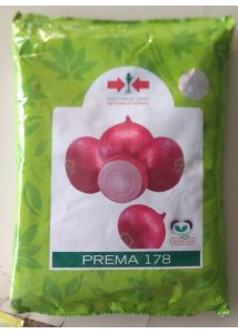 Prema 178 Onion 
