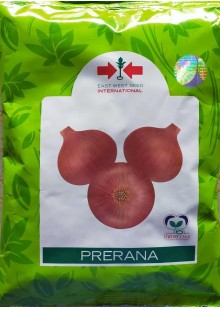 Prerana Onion