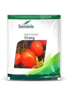 Virang (वीरांग ) 