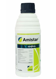Amistar (अमिस्टर)