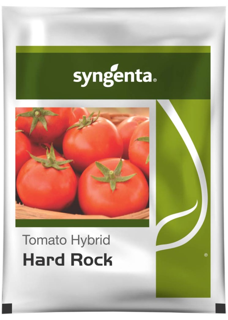 Hard Rock Tomato Seeds 