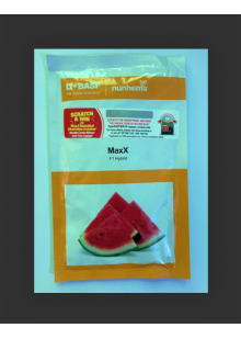 Maxx  (मेक्स) Watermelon - 1000 Seeds