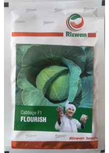 Cabbage Flourish