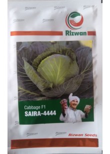 Cabbage Saira - 4444